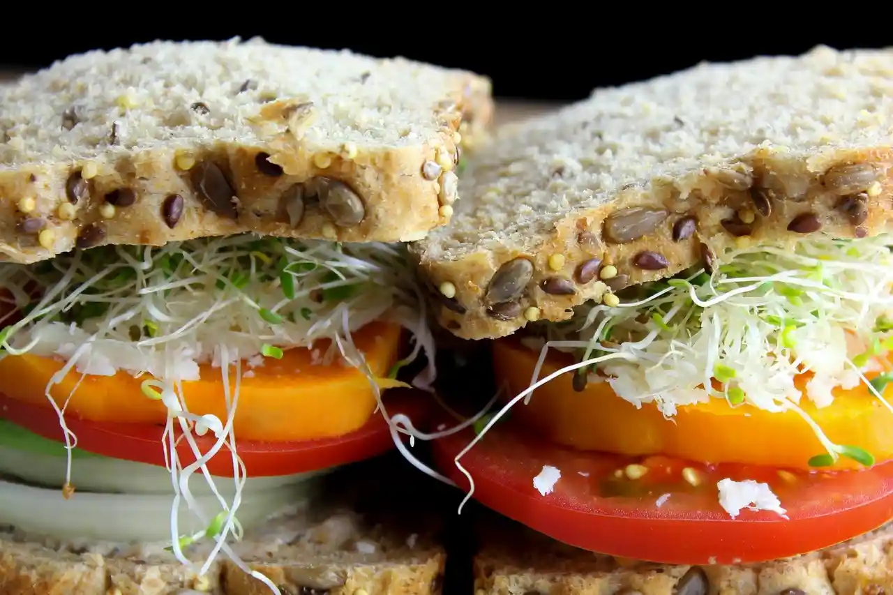 qt=q_30 (6) Close-up of two sandwiches with multi-grain bread, layered with slices of tomato, yellow cheese, cucumber, and sprouts.